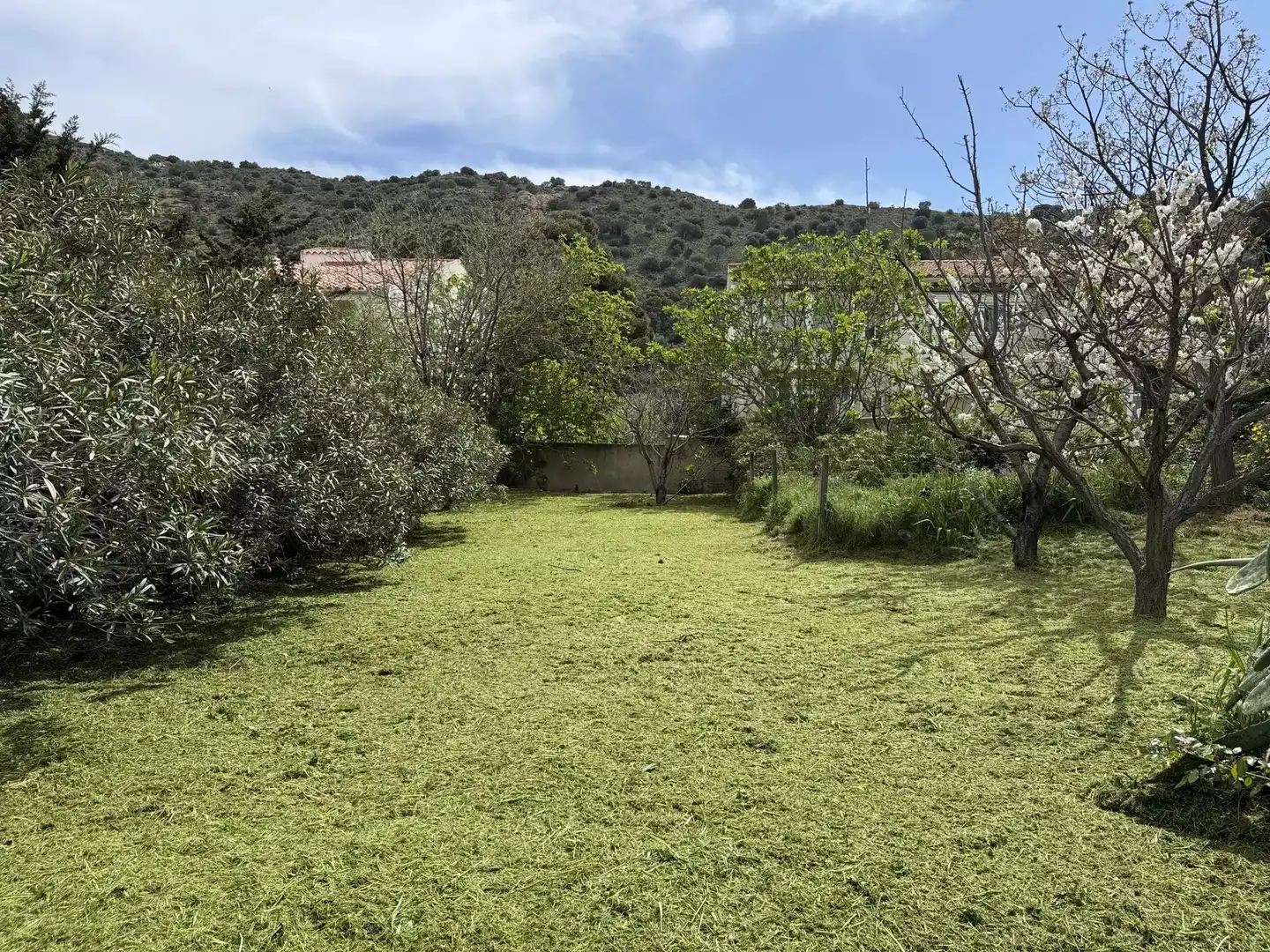Casa o chalet en venta en Colera con Jardín privado y Terraza