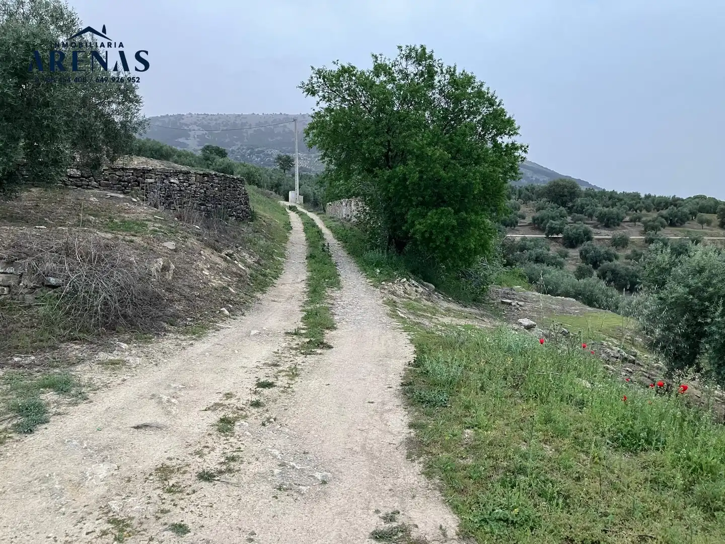 Rustikales Grundstück zum Verkauf in Carretera Montefrío, imagen 4