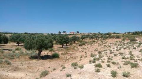 Photo 4 of Residential for sale in Las Zorreras, Partido de Javali Nuevo, -1, Javalí Nuevo, Murcia