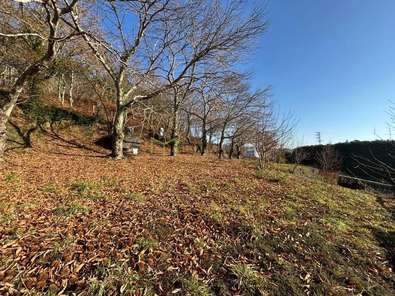 Casa o xalet en venda en Teo amb Calefacció, Jardí privat i Piscina