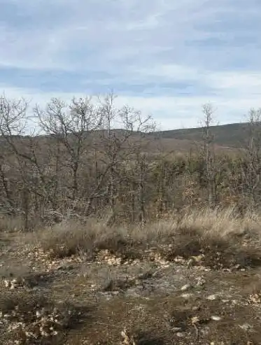 Terreno en venta en El Royo  