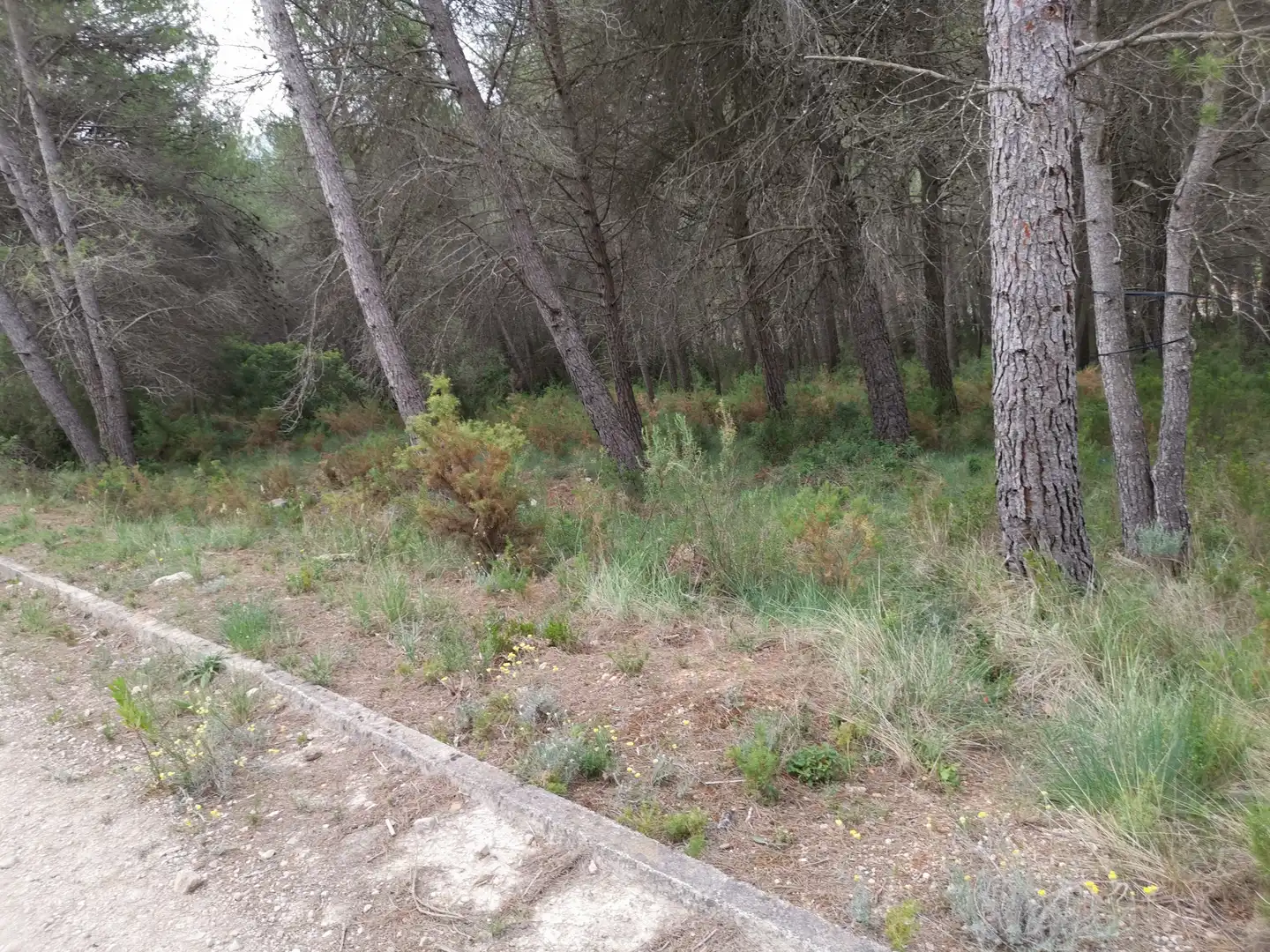 Residencial en venta en Avinguda Gaudí, 14, El Montmell