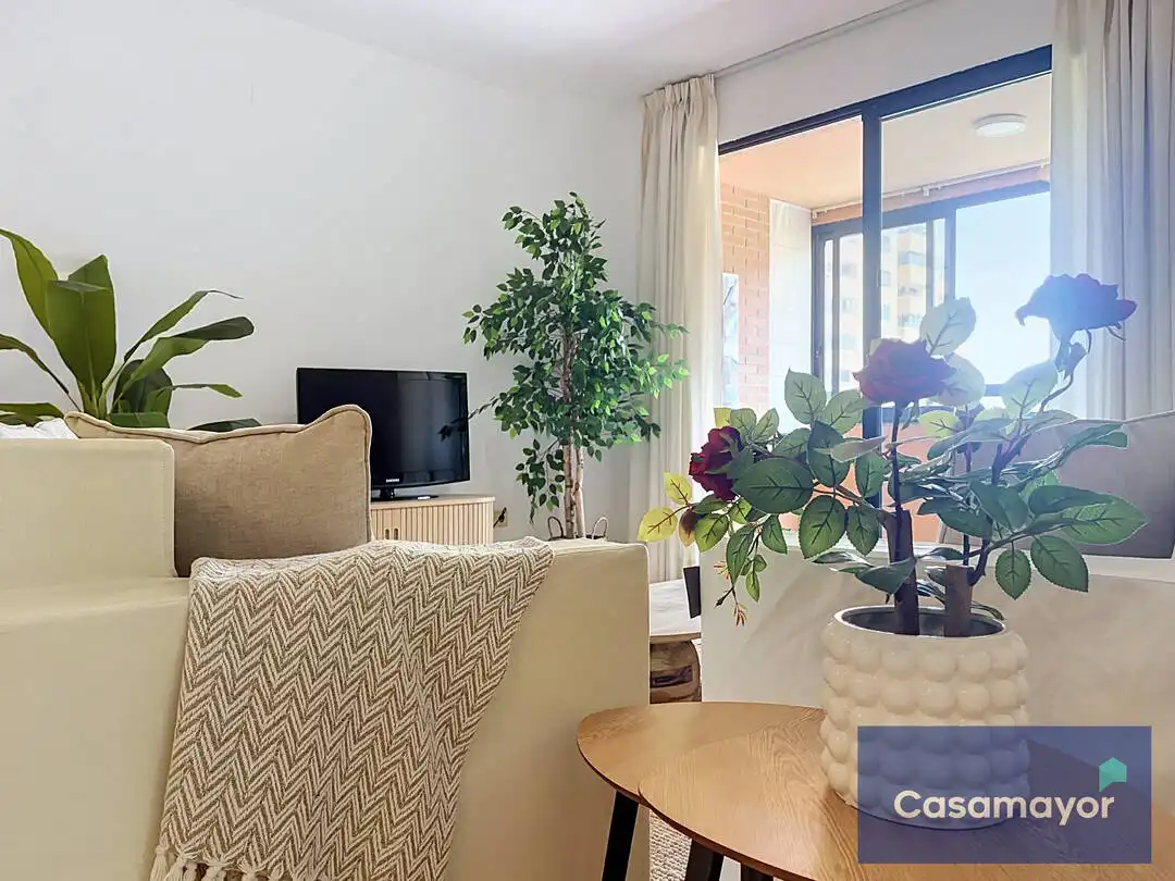 Sala d'estar de Pis en venda en Alicante / Alacant amb Jardí privat, Terrassa i Traster