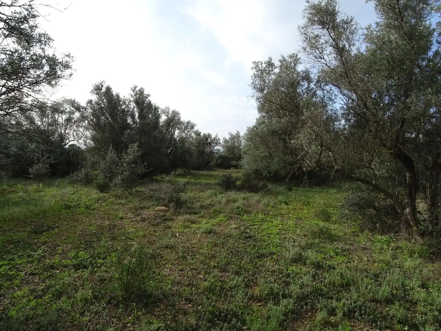 Terrain résidentiel à vendre à 16, imagen 19
