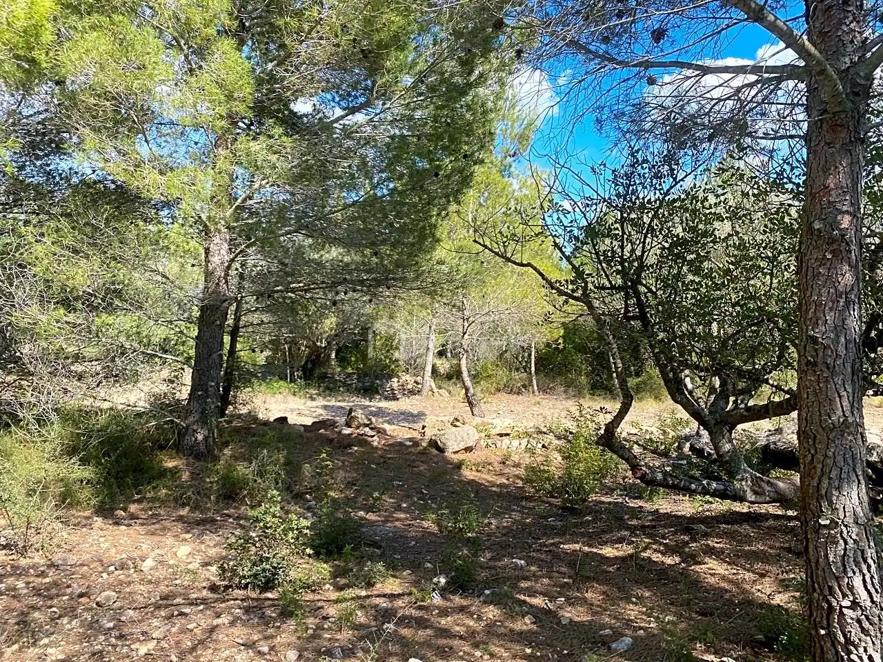 Terreno rustico in vendita a Ligallo de les Bordes, imagen 3