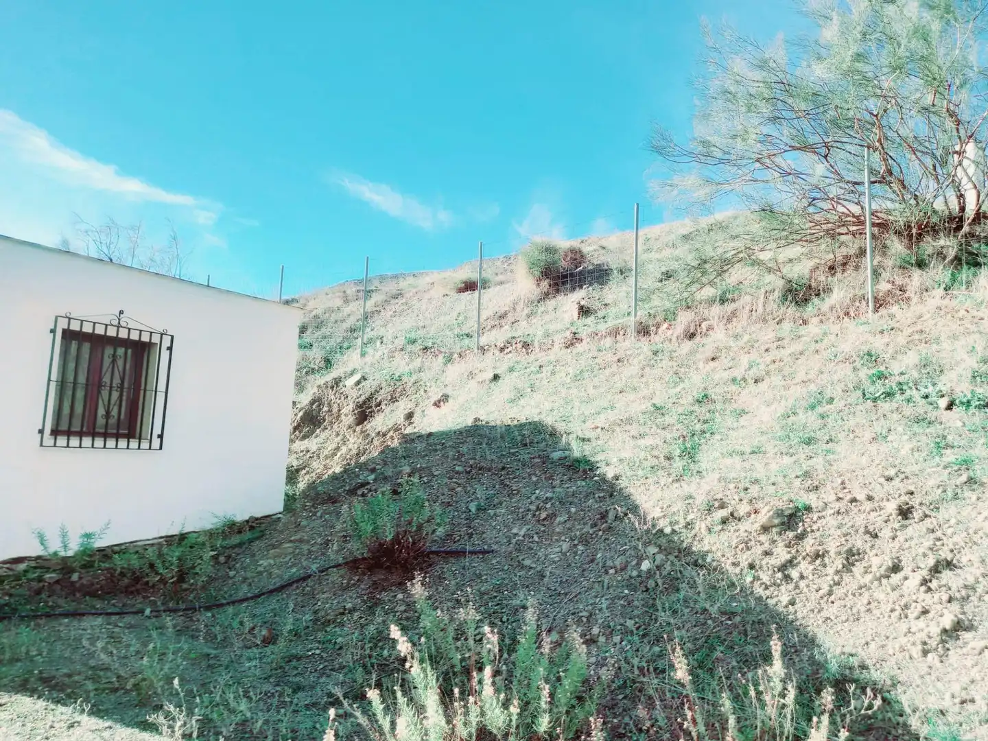 Haus mit Terrasse zum Verkauf in Canillas de Aceituno, imagen 6
