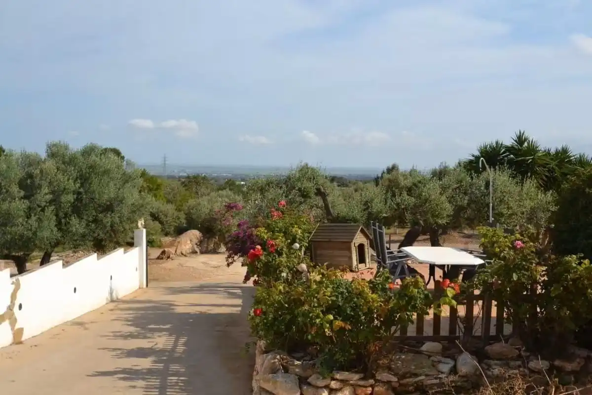 Casa rústica amb piscina en venda a POLIGONO 41, imagen 53