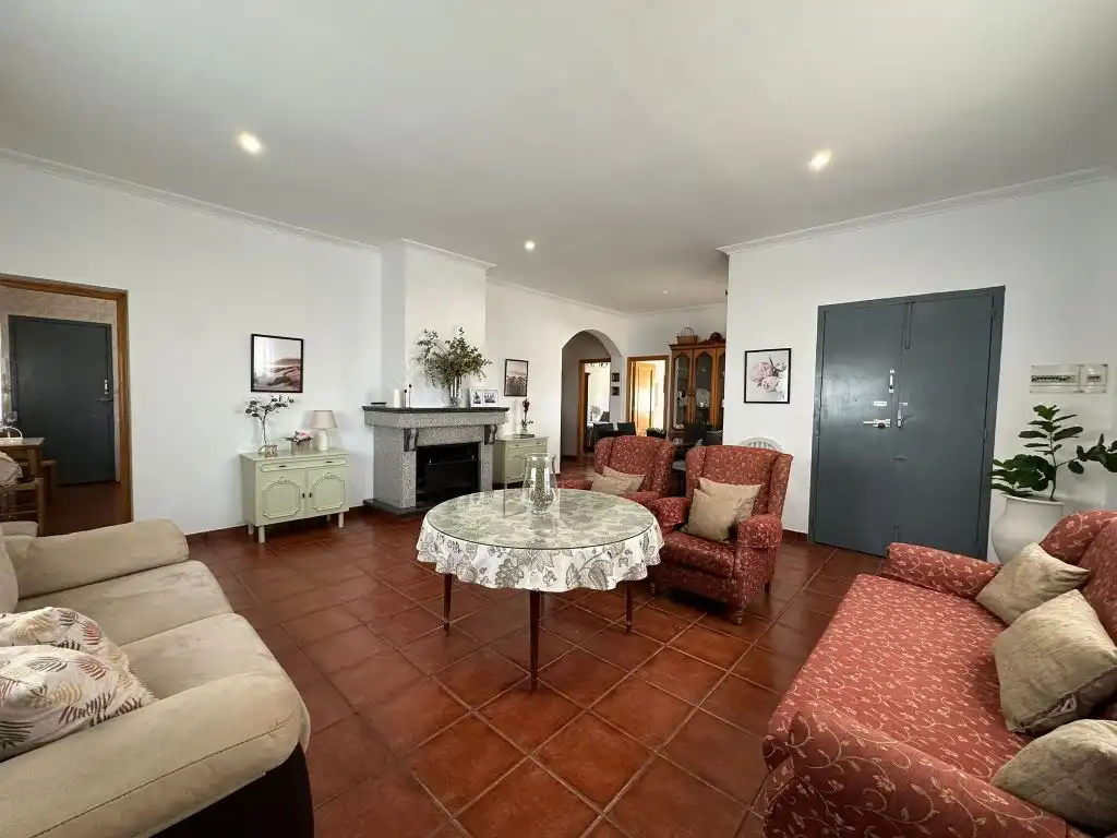 Sala d'estar de Casa o xalet en venda en Magacela amb Jardí privat, Terrassa i Piscina
