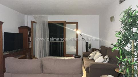 Foto 4 de Planta baixa en venda a Santa Margalida Poble, Illes Balears