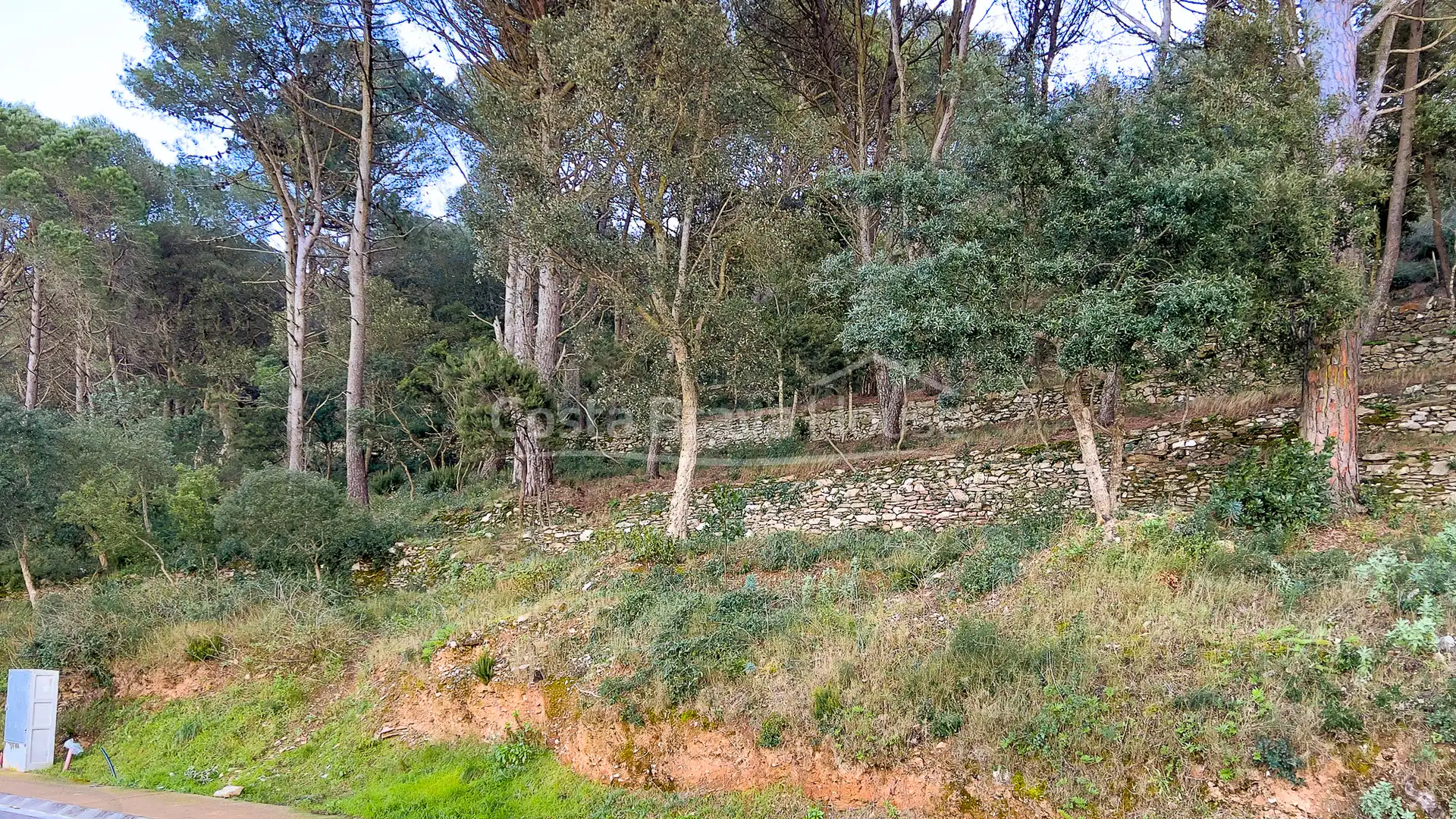 Terrenos y solares en venta en Carrer de Son Rich, imagen 12