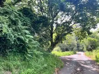 Lands and plots for sale in Santa María de Getxo, imagen 10