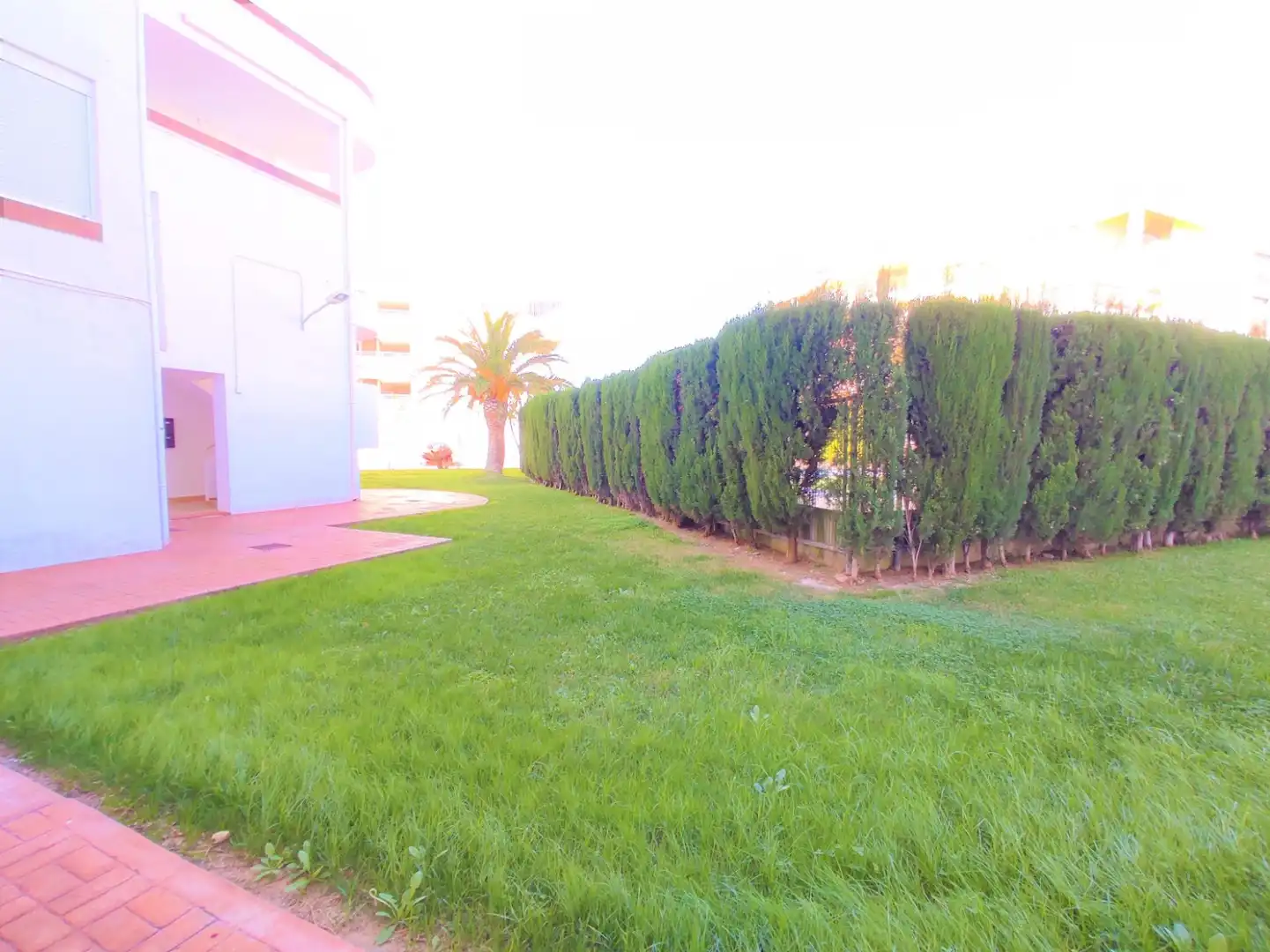 Jardín de Ático de alquiler en Sagunto / Sagunt con Terraza y Amueblado