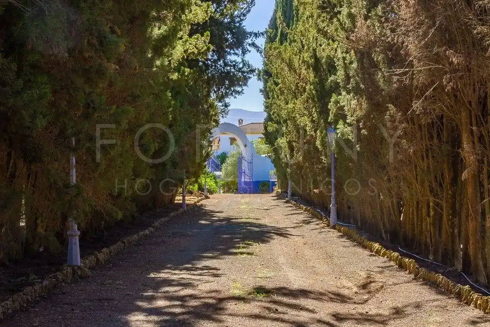 Vista exterior de Finca rústica en venda en Archidona amb Calefacció, Jardí privat i Terrassa