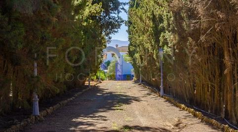 Foto 3 de Finca rústica en venda a Avenida Llano de Pablo Picasso, 16, Archidona, Málaga