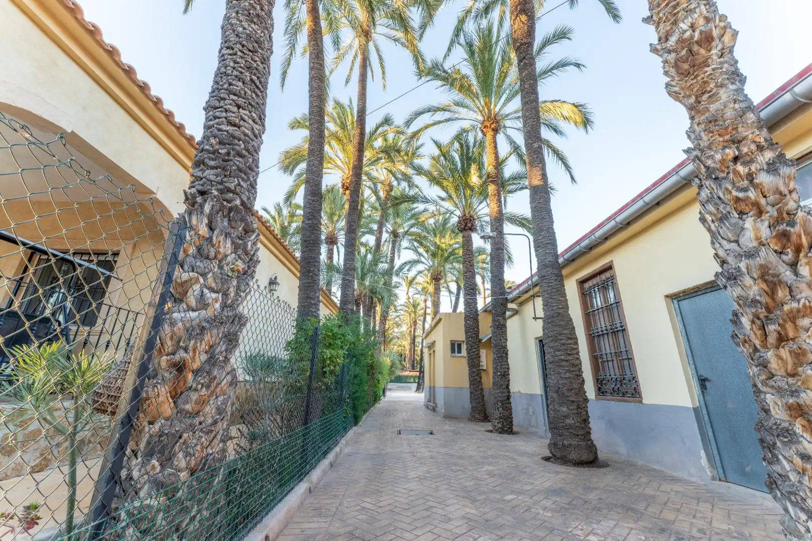 Vista exterior de Casa o chalet en venta en Elche / Elx con Aire acondicionado, Jardín privado y Terraza