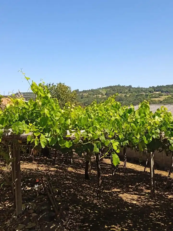 Vista exterior de Finca rústica en venda en Santiago de Compostela 