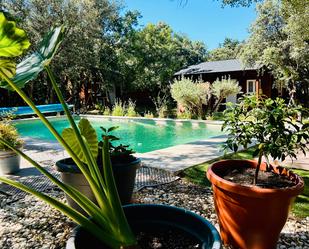 Piscina de Casa o xalet en venda en Venturada amb Calefacció, Jardí privat i Terrassa