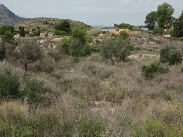 Terreny residencial en venda a Calle Verdegas, imagen 4