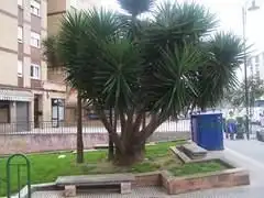 Bureau à vendre à Calle Estebanina 18D, imagen 11