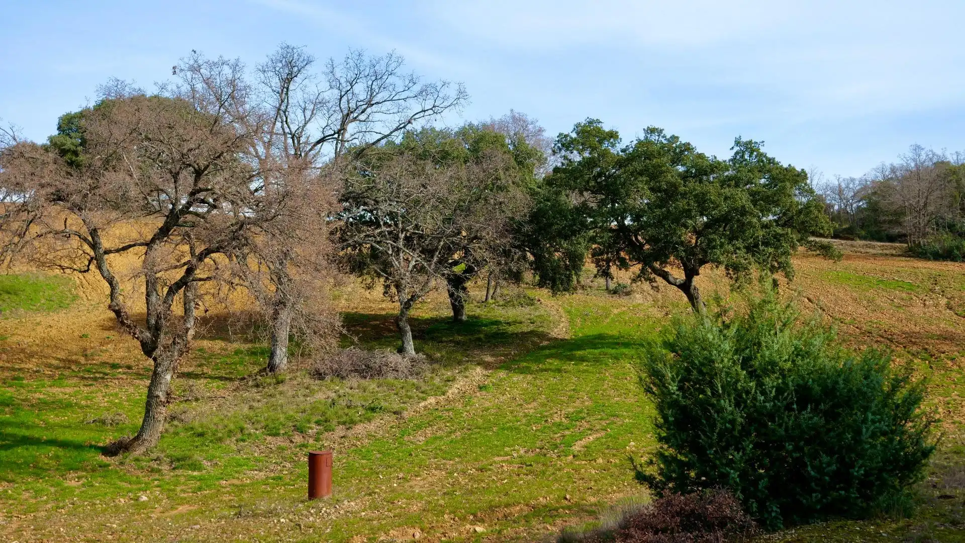 Land for sale in Arbancón