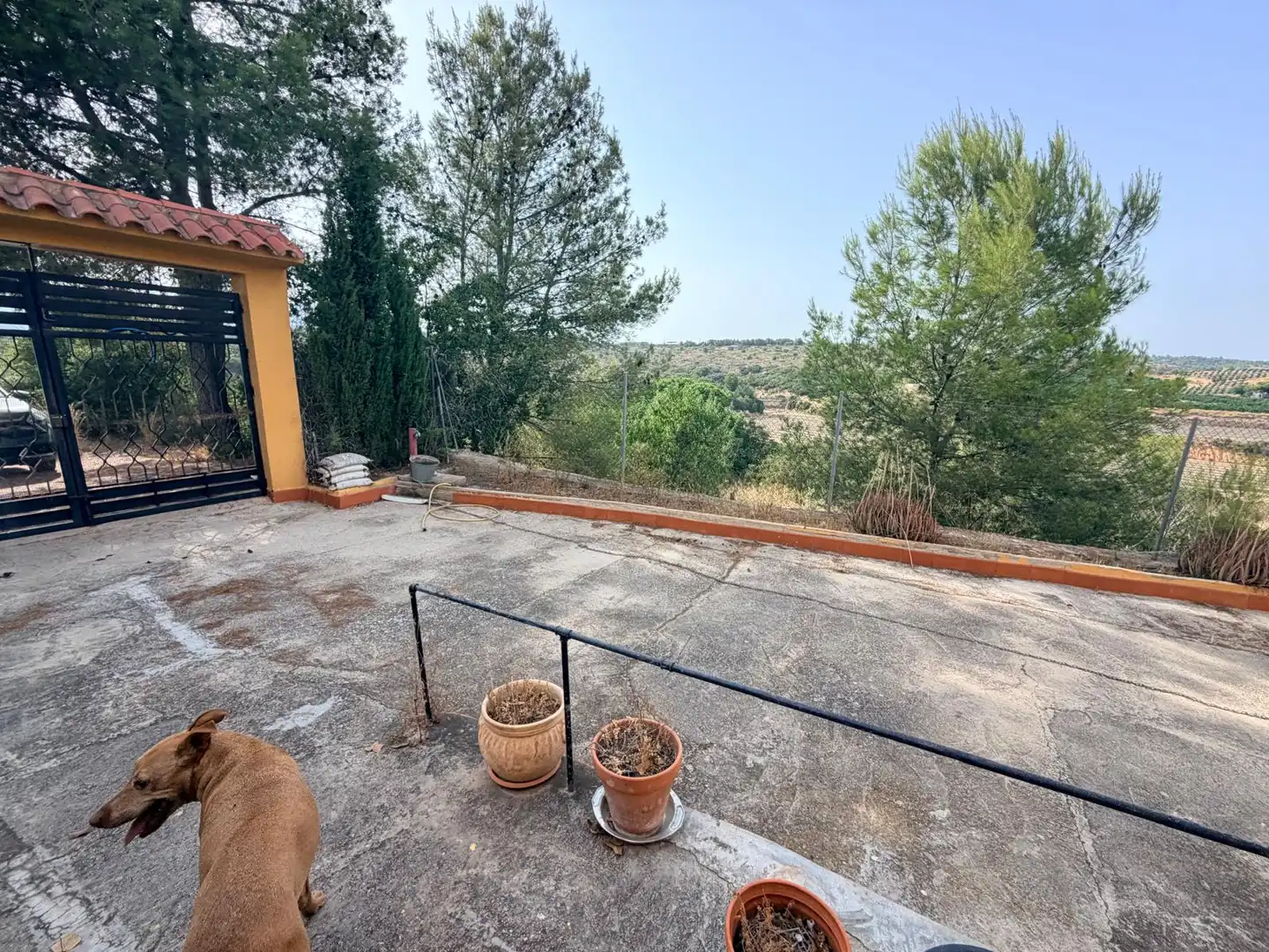 Terraza de Casa o chalet en venta en Cheste con Jardín privado y Piscina
