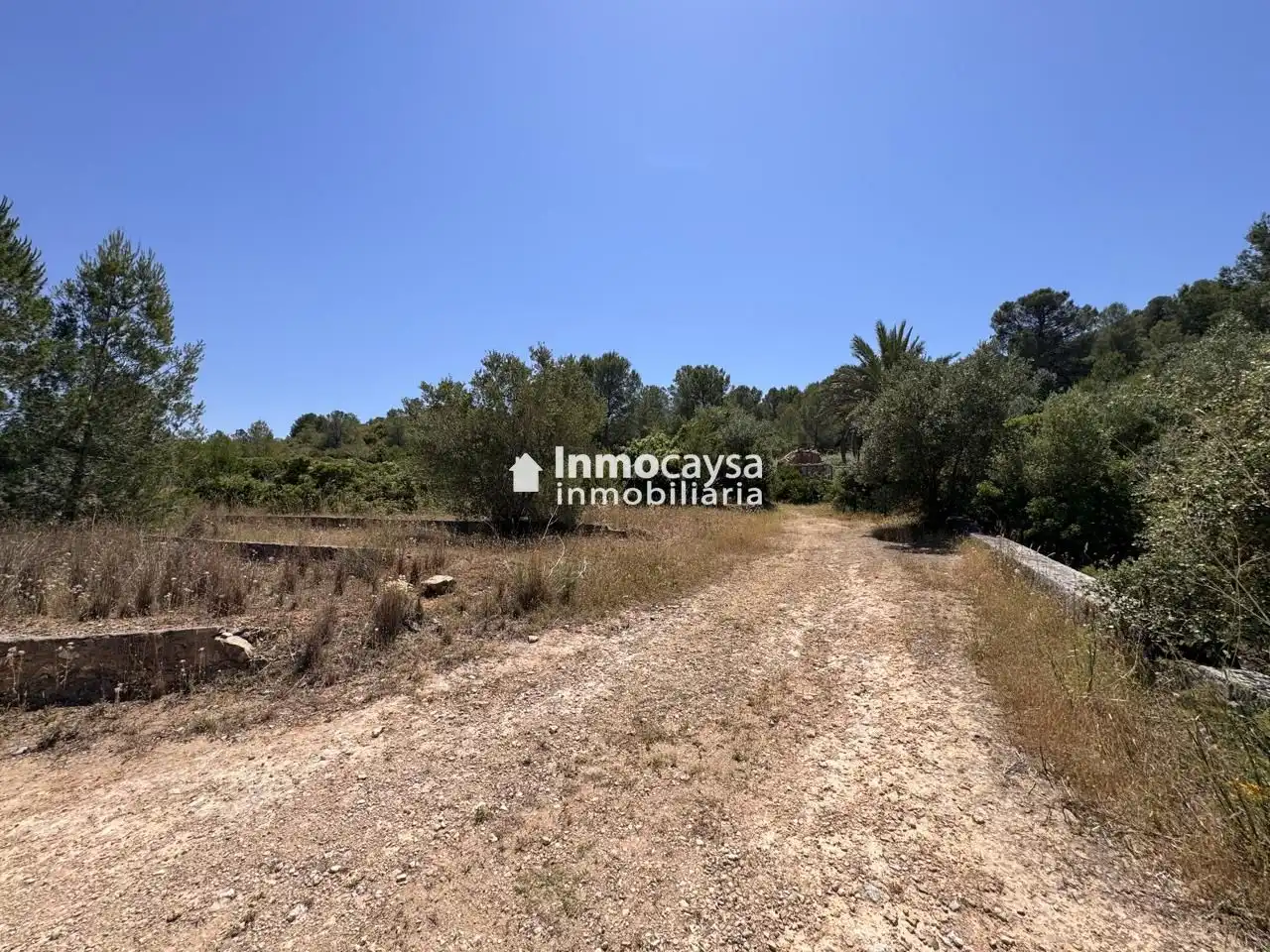 Terreno en venta en Montesa