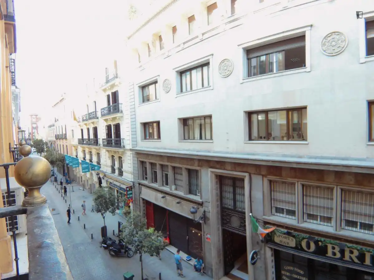 Estudio en alquiler en Centro, imagen 34