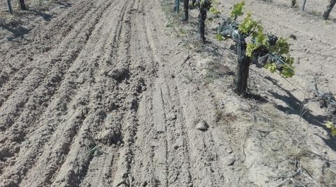 Photo 4 of Land for sale in Plaza la Iglesia, 2, Cazurra, Zamora