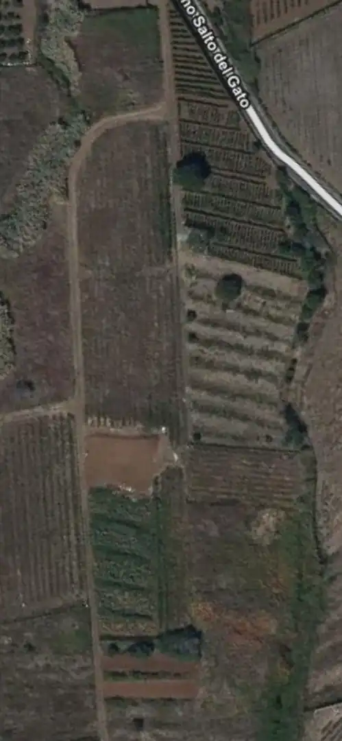 Finca rústica en venta en El Sauzal