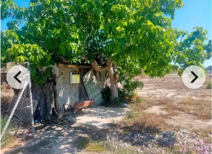 Rural land for sale in La Foia - Daimés - Asprella, imagen 3