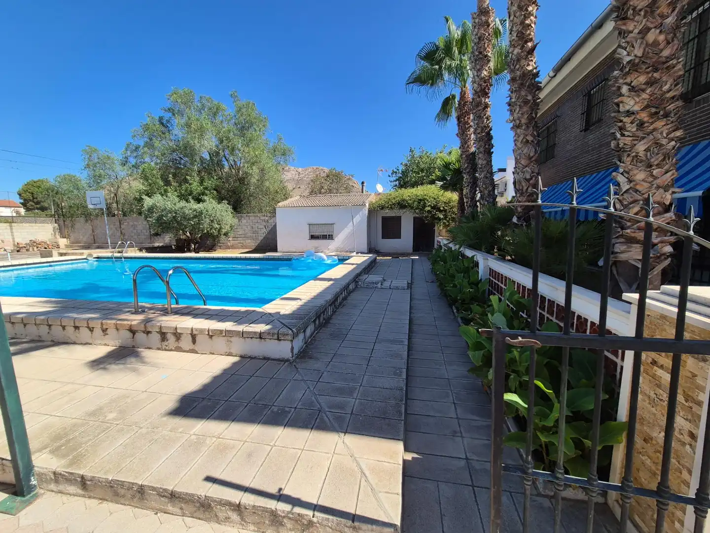 Piscina de Casa o xalet en venda en Elda amb Jardí privat, Terrassa i Traster