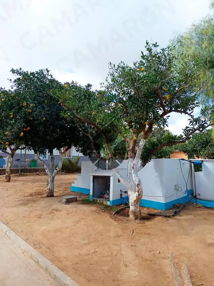 Landhaus mit Pool zum Verkauf in La Puebla del Río, imagen 8