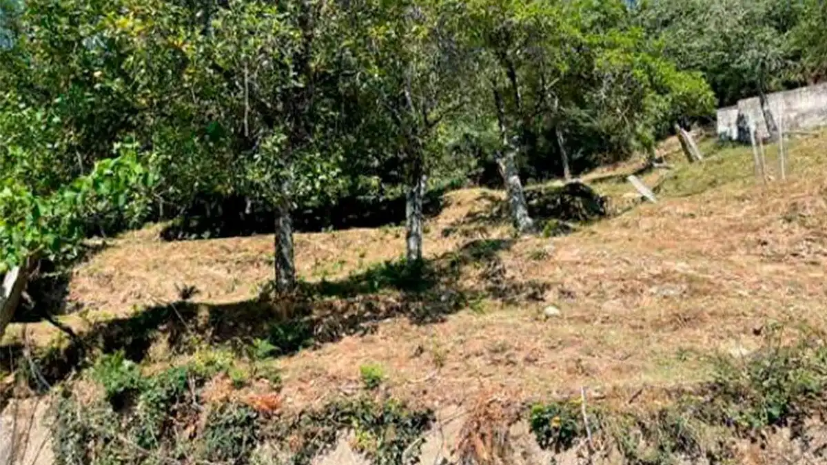 Lands and plots for sale in SITIO VIÑOTE, ARNOIS PG 508 PARC. 75, imagen 6