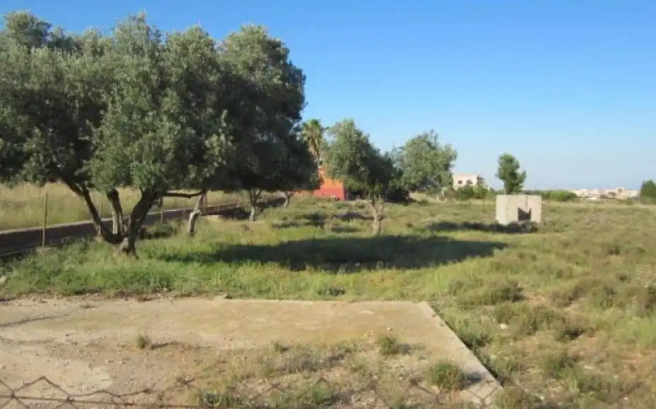 Terreno rustico in vendita a Norte, imagen 4