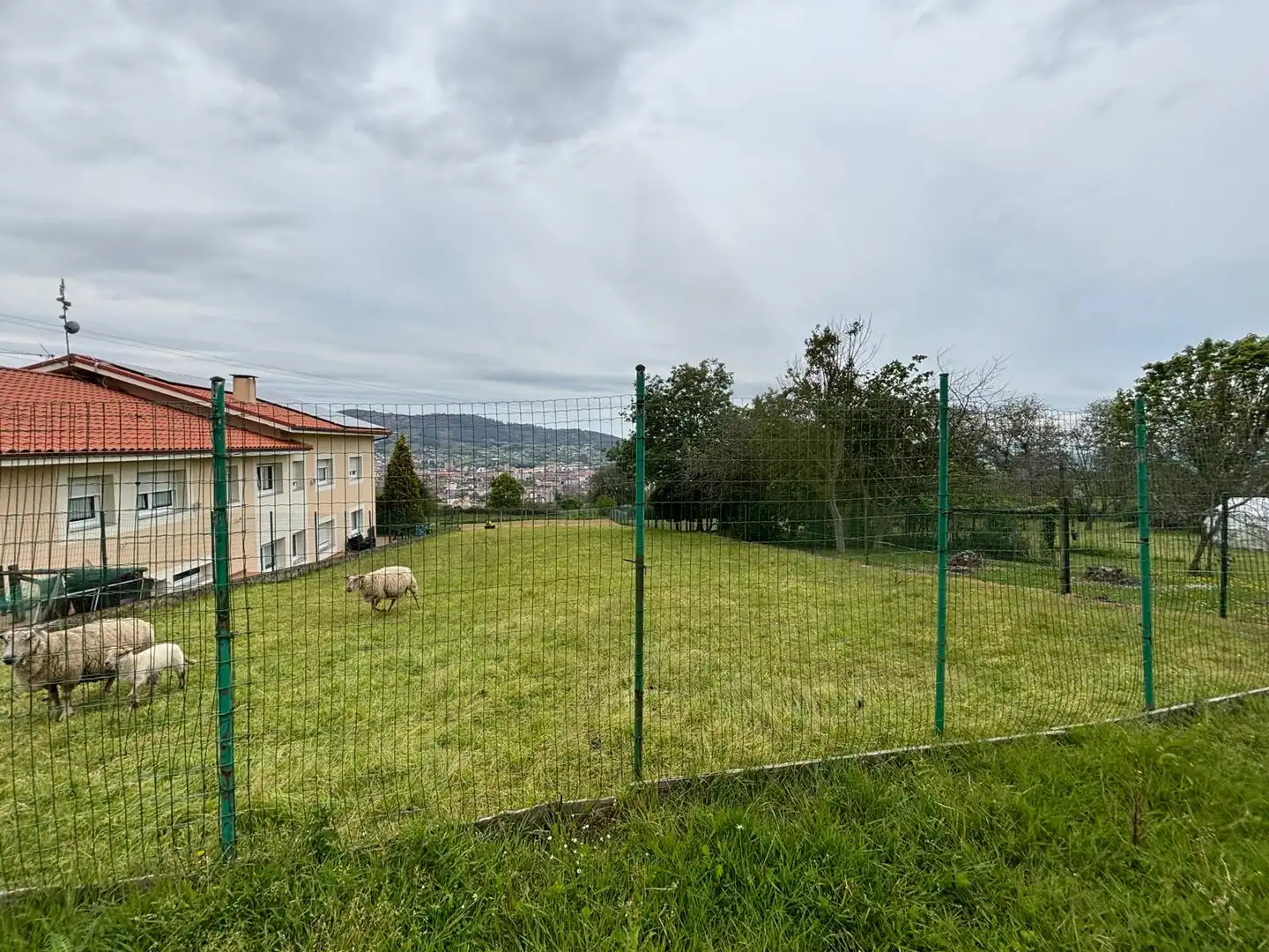 Residential land for sale in Parroquias Sur - La Manjoya, imagen 6