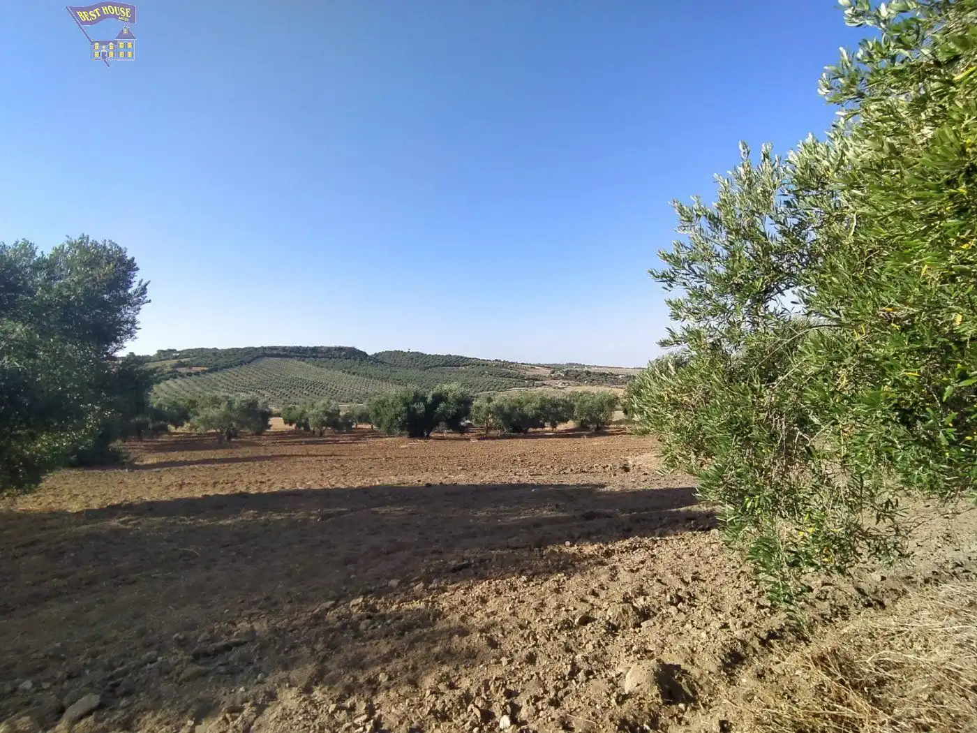 Casa rústica en venda a Arcos de la Frontera, imagen 2