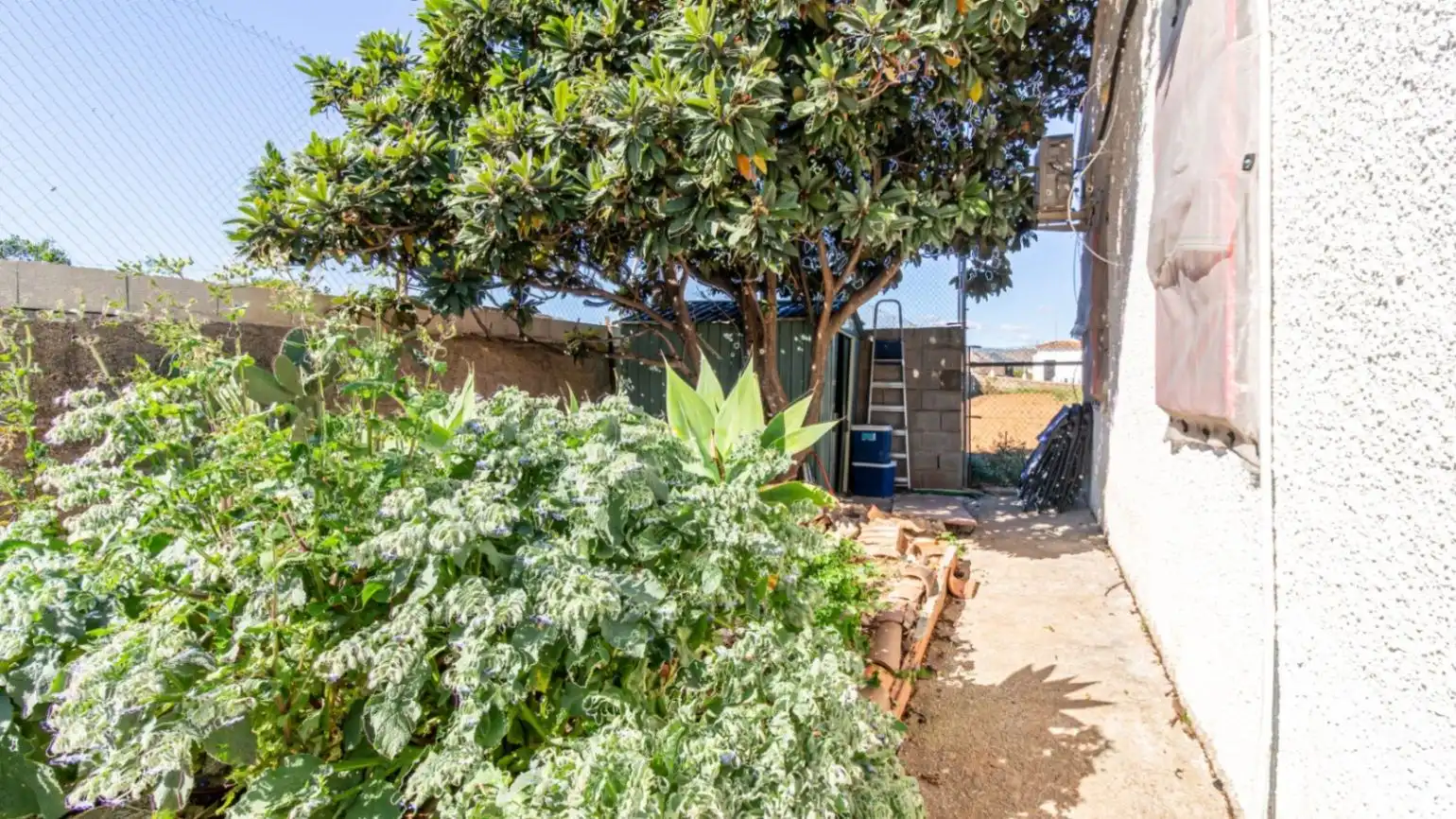 Maison rustique avec jardin à vendre à Pego, imagen 12