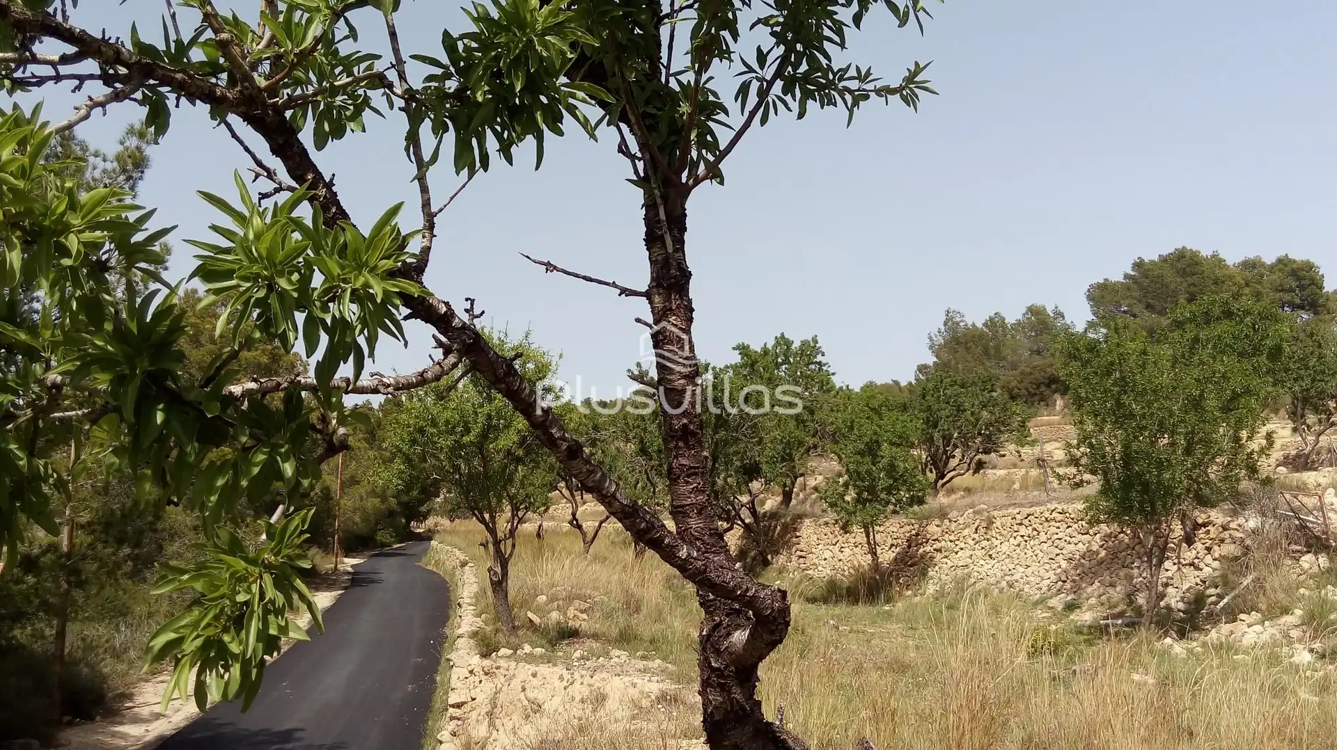 Lands and plots for sale in Benissa pueblo, imagen 13