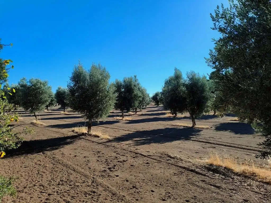Country homes for sale in Cretas
