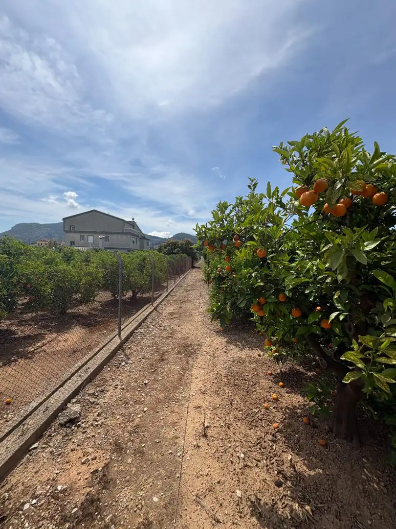 Country homes for sale in Alzira  with Private garden, Terrace and Swimming Pool