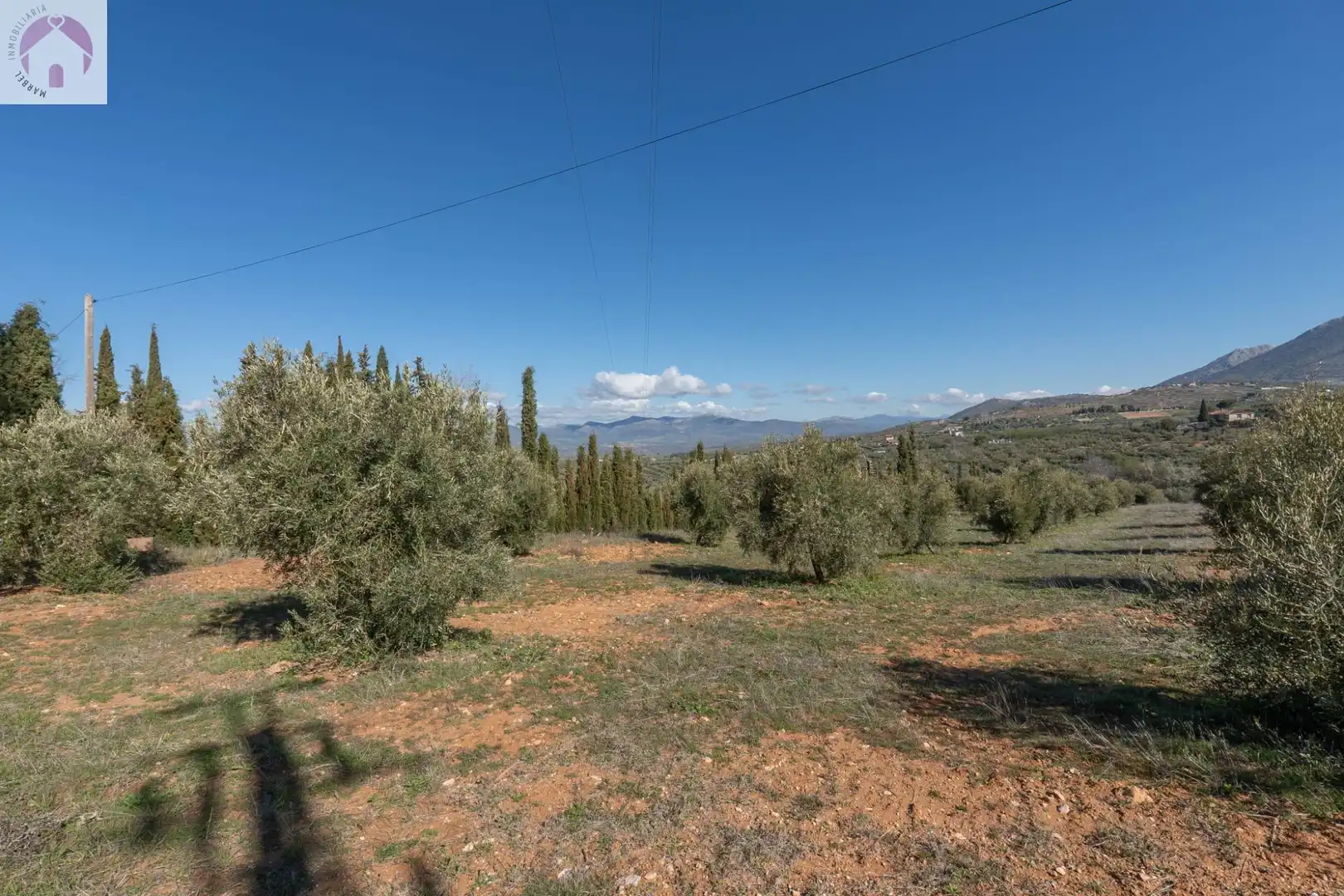 Terreni e lotti in vendita a Cogollos de la Vega, imagen 5