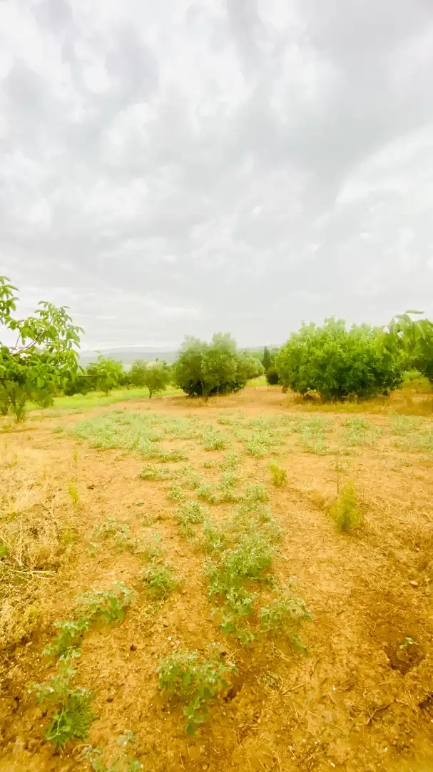 Terreny rústic en venda a La Bisbal d'Empordà, imagen 11