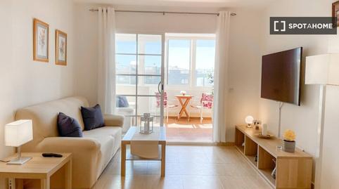 Photo 3 of Apartment to share in La Lajita, Las Palmas