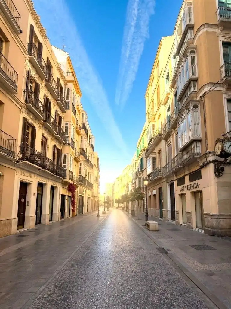Exterior view of Apartments for sale in Málaga  with Terrace, Furnished and Balcony