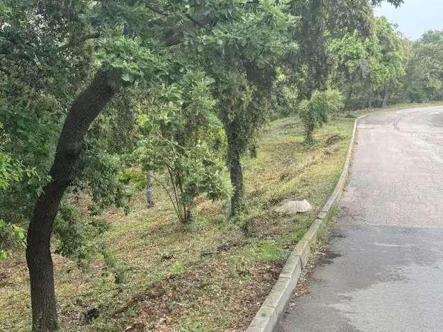 Terreno rústico en venta en Urbanització Collsacreu 135, imagen 8