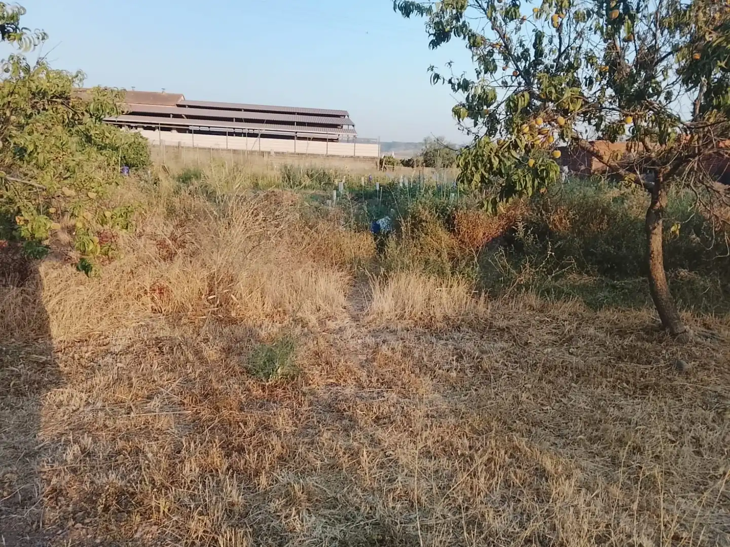 Terreno residenziale in vendita a Ur La Morena 8, imagen 23