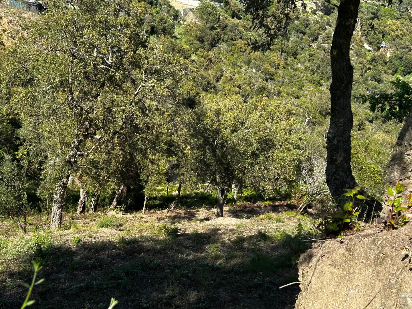 Wohnbaugrundstück zum Verkauf in Lloret Residencial - Montlloret, imagen 4