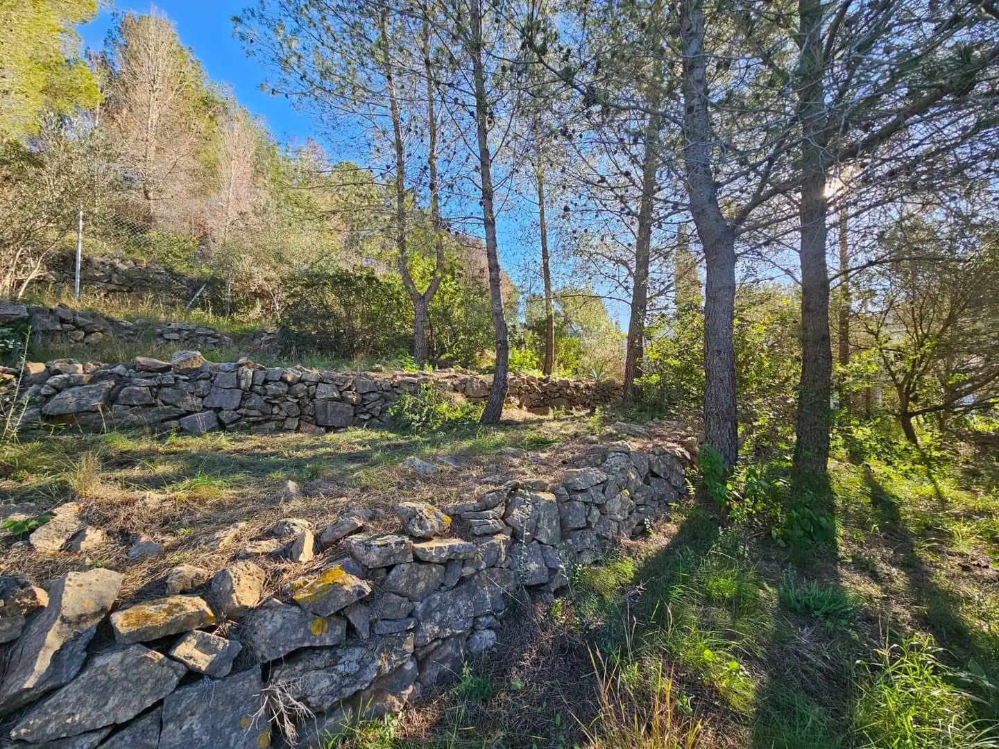 Terreny residencial en venda a El Montgó, imagen 13
