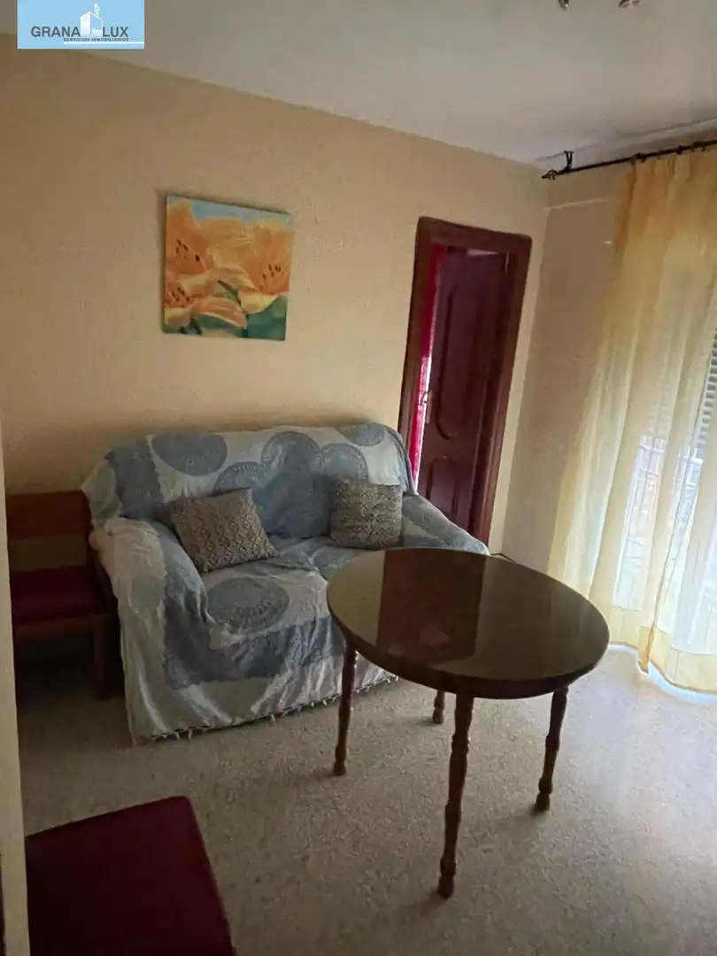 Living room of Flat for rent in Centro