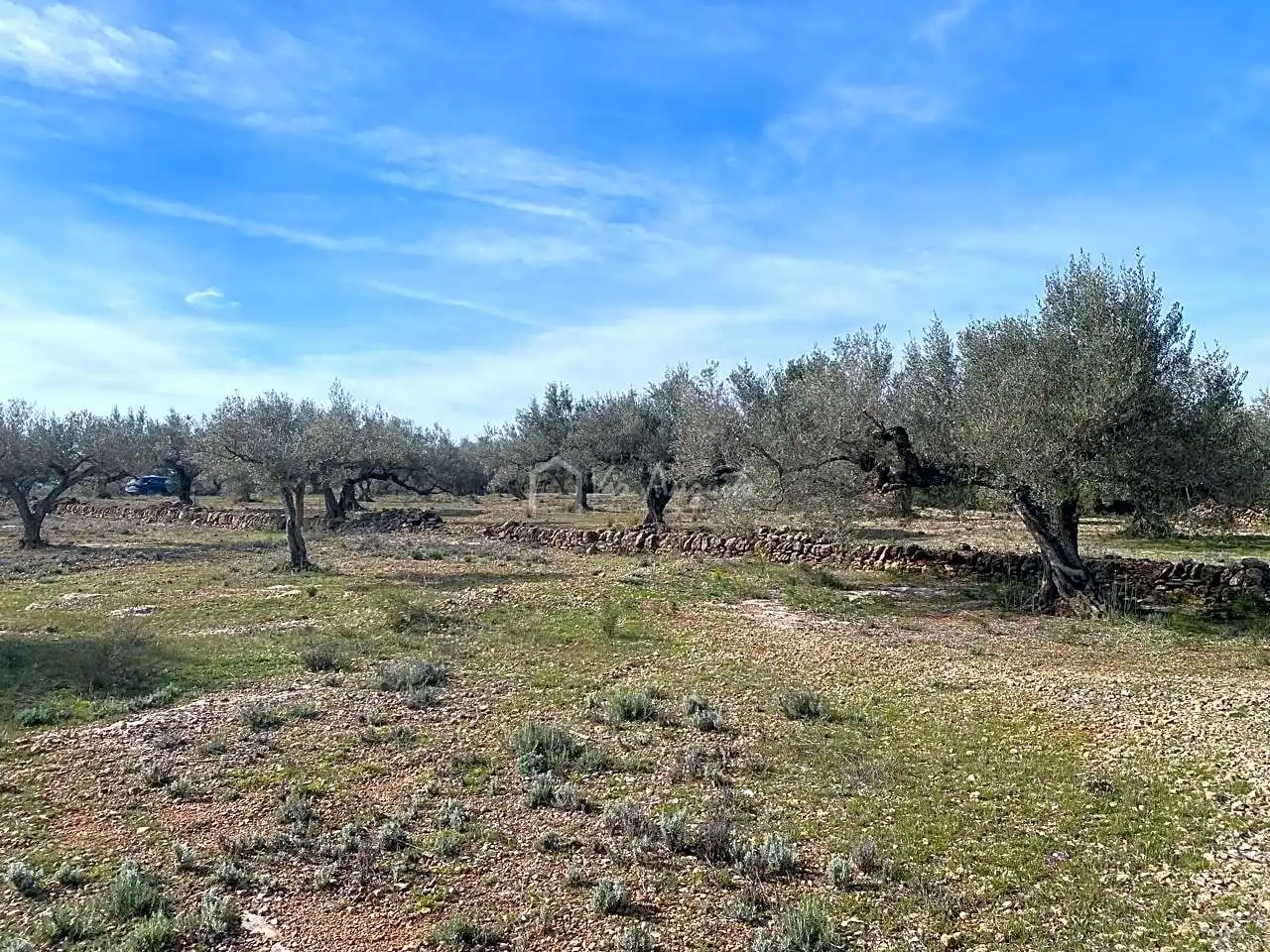 Terreno rustico in vendita a Planas, imagen 13